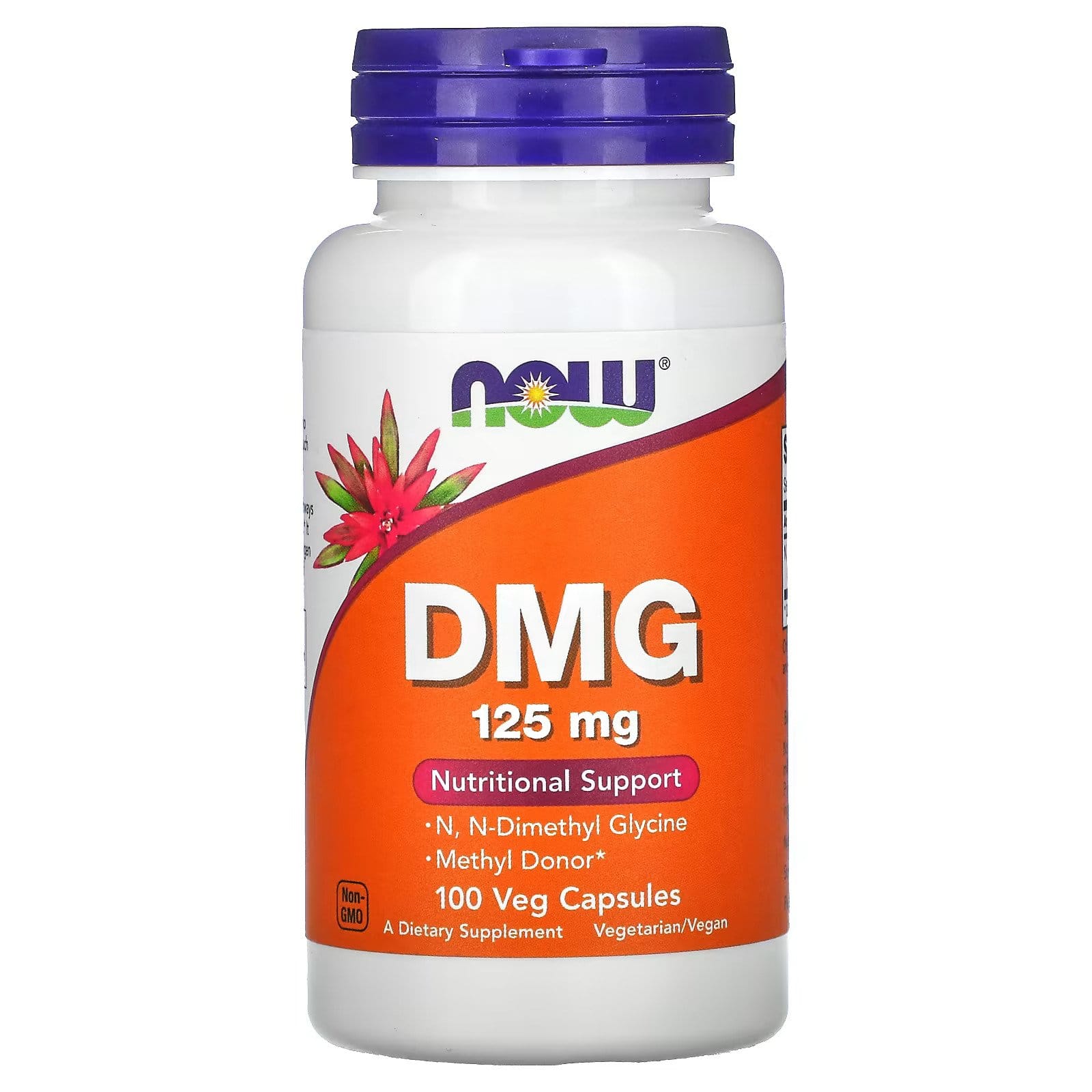 دی ام جی ناو (Now Foods DMG) ۱۲۵ میلی‌گرم | تقویت انرژی و سیستم ایمنی